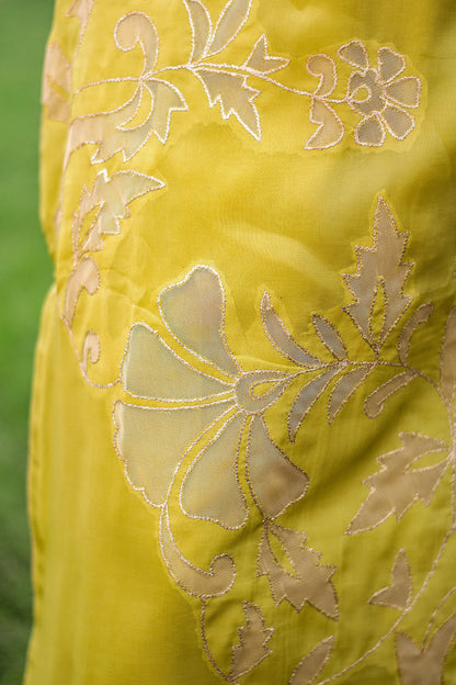 Green ombre organza kurta & dupatta with cutwork & golden trousers