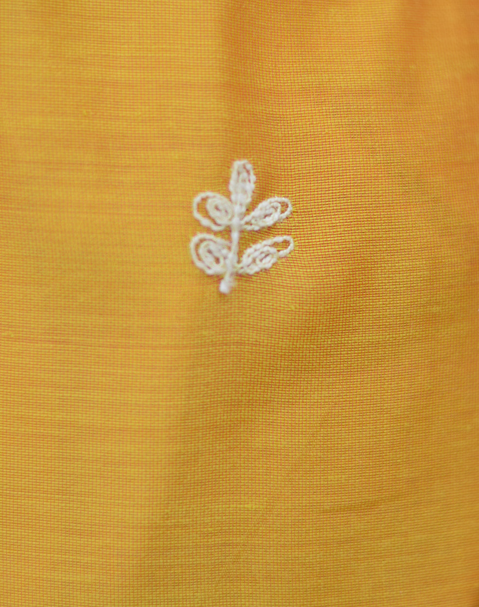 Indian women showing latest design of kurta with palazzo